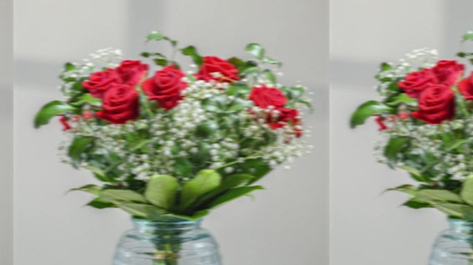 Frida Flowers.mp4